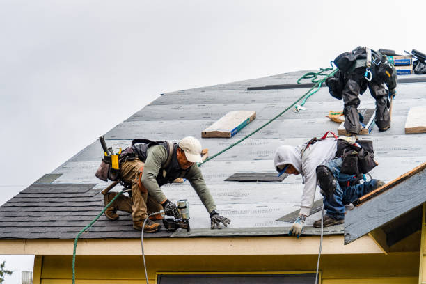 Professional Gutter Installation technician working in Pacific Beach, WA